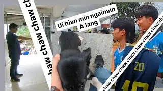 Vlawk #199 - Shillongah inkhêl ka va en a, thil kan ei