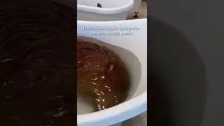 А ТЫ УЖЕ ОТМОКАЕШЬ?😏