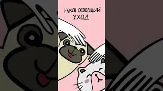 Макет рекламный Зоомагазина