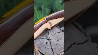 Копченый ясень во всей красе 🌳