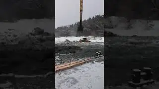 5 февраля 2022 г.