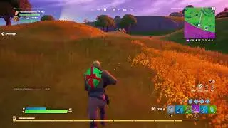 Placin top 10