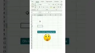 Brilliant excel trick to make data invisible|