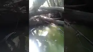 Ловля щуки