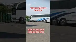 тошкент Москва Узбекистан Автобус 