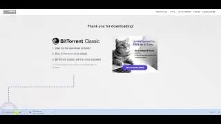 Why does BitTorrent or other Torrent NOT install on Windows (2022)? Quick Fix in Allowing the .exe