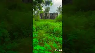 AI Video AI effect How to 