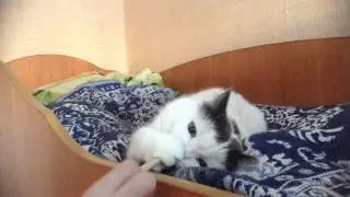 Играемся