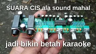CREATE a business idea, a karaoke mic with great sound with this mic preamp module.