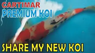 CARTIMAR PET CENTER / SHARE MY NEW KOI