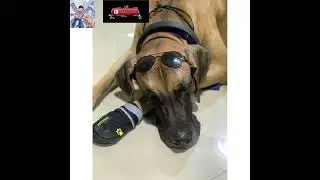 Smoky’s style…… model of the century