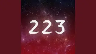 223