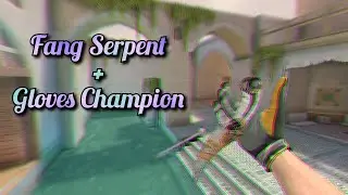 Fang Serpent + Gloves Champion