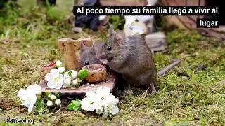 El fotógrafo que construyó un pueblo en miniatura para una tierna familia de ratones