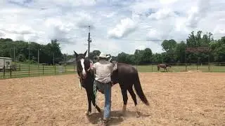 Duchess: Arena Work 30 June 2021 #1