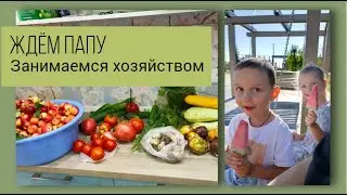 Ждём Папу. Занимаемся хозяйством. Из Германии в Россию