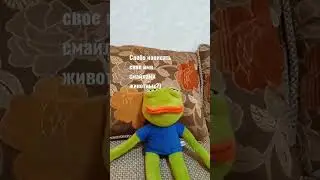 Мое : 🦎🐟🦌🐘🦙🦈🦦🦈 #шортс #shortvideo