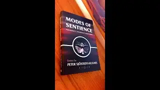 Modes of Sentience – 60 seconds on its form and content