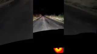 в Германии ураган. скоро будут дальнейшие видеошортс