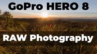 GoPro HERO 8 RAW Photography