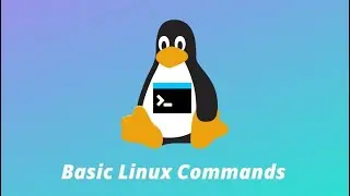 Basic Linux commands for beginners