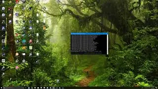Toying with UE4's dev-niagara branch ;3