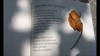 Cahit Zarifoğlu - Anılar Defterinde Gül Yaprağı