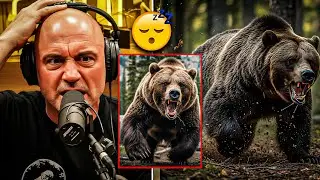 Most Terrifying Bear Attack Stories From The Joe Rogan Podcast