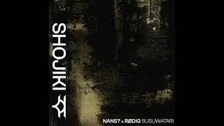 Nans? & Rødig - Shadow In Motion