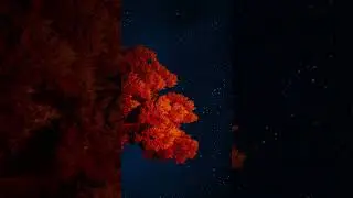 starry sky