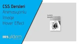 Css Animasyonlu Resim Hover Efekt (Css Animation Image Hover Effect) - CSS Dersleri