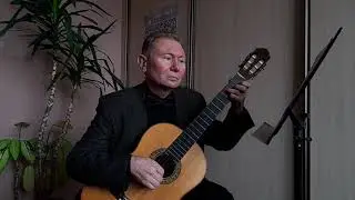Павел Аедоницкий. Ты погоди (из к/ф "Последние каникулы") на гитаре. Обработка Олега Копенкова