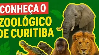 ZOOLÓGICO DE CURITIBA