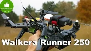 ✔ Walkera Runner 250 - Fast and Beautiful FPV Quadcopter! Gearbest