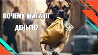 ДЕНЬГИ ПРАВЯТ МИРОМ. Как погоня за ними определяет нашу судьбу