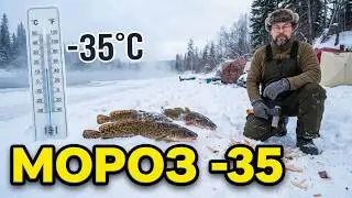 Налим. Февраль 2023 год.