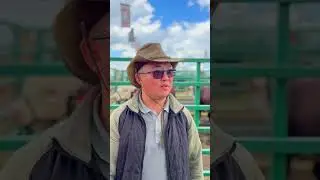 ☑️”JAŃA DALA / GREEN DAY’ 2024” . “Мамбетов и К” КТ