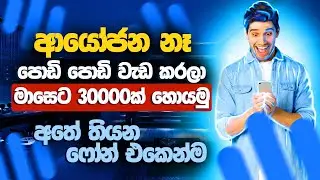 කිසිම ආයෝජනයක් නැතුව පොඩි වැඩ කරලා ෆෝන් එකෙන් සල්ලි හොයමු | E money sinhala Hive micro |