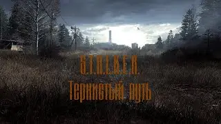 СТАЛКЕР тернистый путь #3