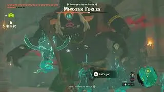 Confronting Princess Zelda (Hyrule Castle)
