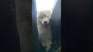 Ох уж это лето.    