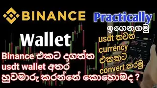 binance wallet අතර usdt හුවමාරු කරන්නේ කොහොමද ...