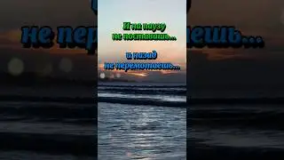 Жизнь она такая #жизнь #жиза #мудрость #море #shorts
