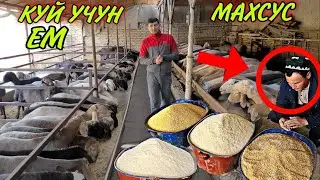 170 КУЙ БОКИШ УСЛУБИ МАХСУЗ ЕМ БИЛАН 😱😱😱