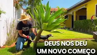 🌿Quando tudo parecia desabar, ✨Deus nos deu um novo começo.