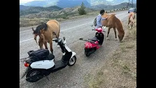 Купили два Японских мопеда Honda Tact 79 и Honda Giorno AF70