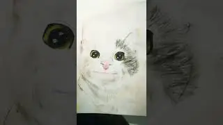 Как вам? #белуга#мемыскотами#мемныекоты#котики#рисование#арт