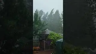 Это что😱😱😱