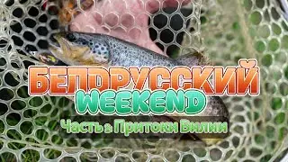 Белорусский уикэнд. Часть 2 - Притоки Вилии.