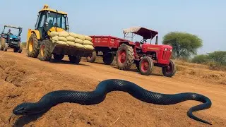 Mud Loaded Tractor Stuck In Mud Pulling Out Jcb | Jcb Tractor Video | Stuck In Mud | Jcb Video